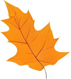 rendy Foliage Design, Leaf PNG Download, Tropical different type exotic leaves set_5.webp